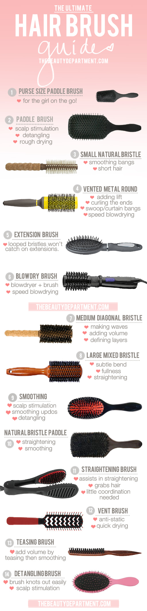 the-beauty-department-brush-guide