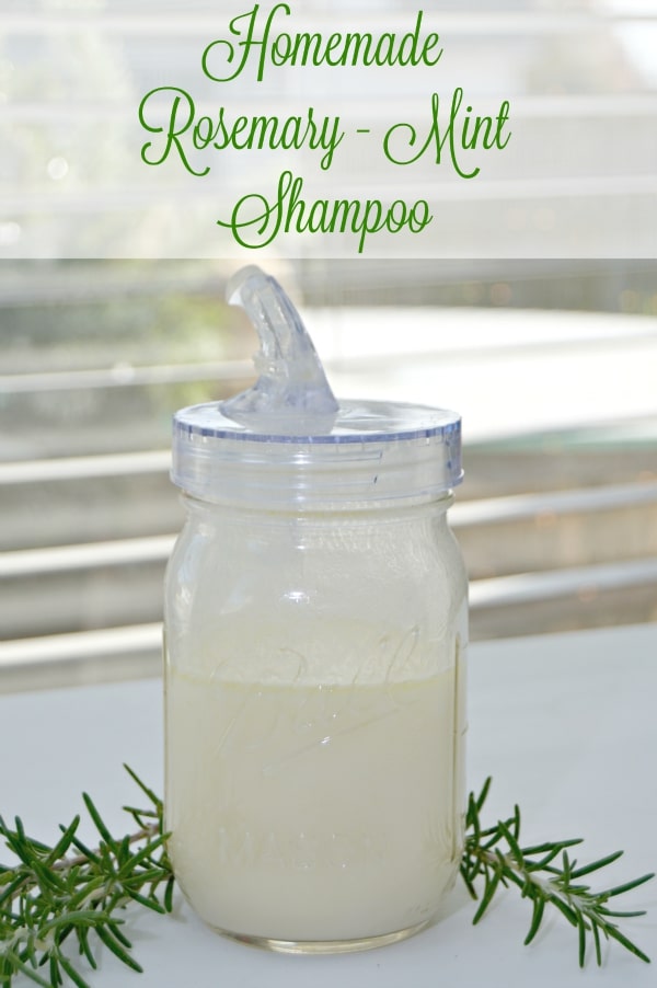 homemade shampoo recipe