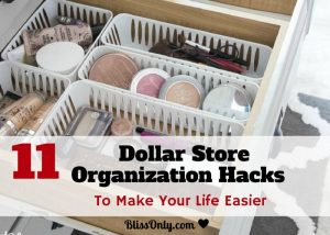Dollar Store Organization Hacks
