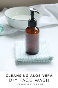 Aloe Vera Gel Skin Care Recipes