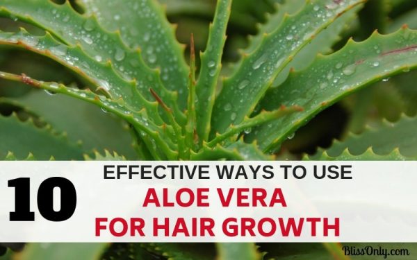 10 Effective Ways To Use Aloe Vera For Hair Growth Blissonly