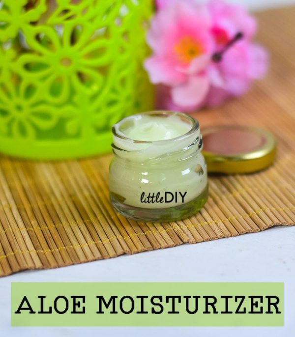 10 Easy Aloe Vera Face Moisturizer Recipes - BlissOnly