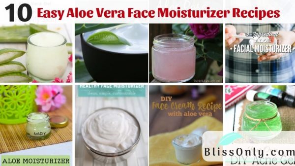 10 Easy Aloe Vera Face Moisturizer Recipes - BlissOnly