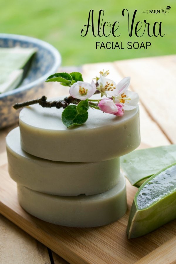 aloe vera gel skin care recipes