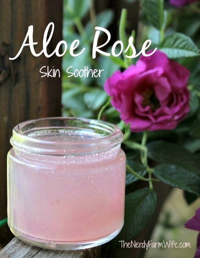 aloe vera gel skin care recipes