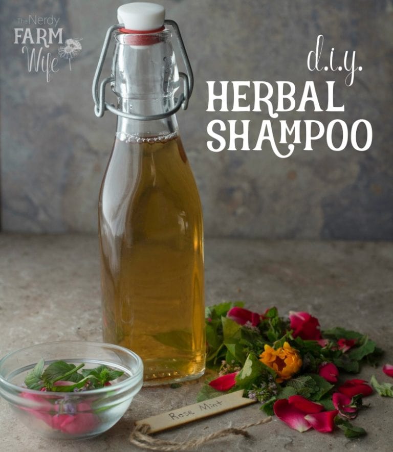 homemade shampoo recipe